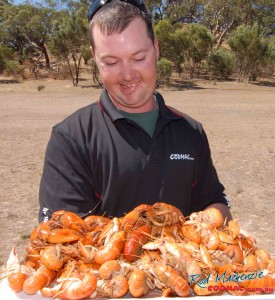 Yum- A great feed of yabbies.