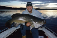bruce-120mcm-cod-jpg