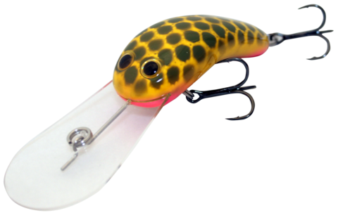 Old Mate – Muddy Frog – Rod Mackenzie – CodMac Lures